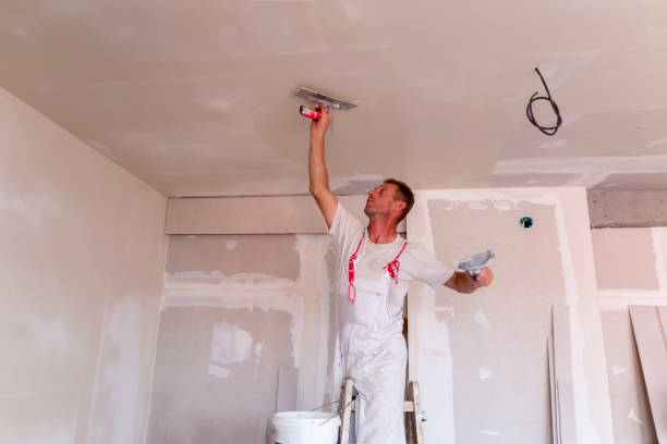 Best New Construction Drywall Services  in Pascoag, RI